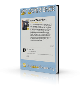 My-Experience-Covers-Anna-Wilder-3d