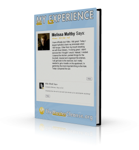 My-Experience-Covers-Melissa-Maltby-3d