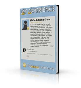 My-Experience-Covers-Michelle-Nestor-3d