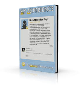 My-Experience-Covers-Nora-Melendez-3d