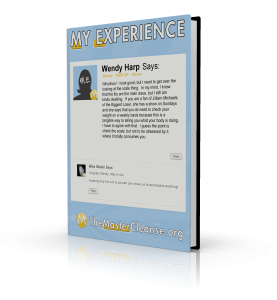 My-Experience-Covers-Wendy-Harp-3d