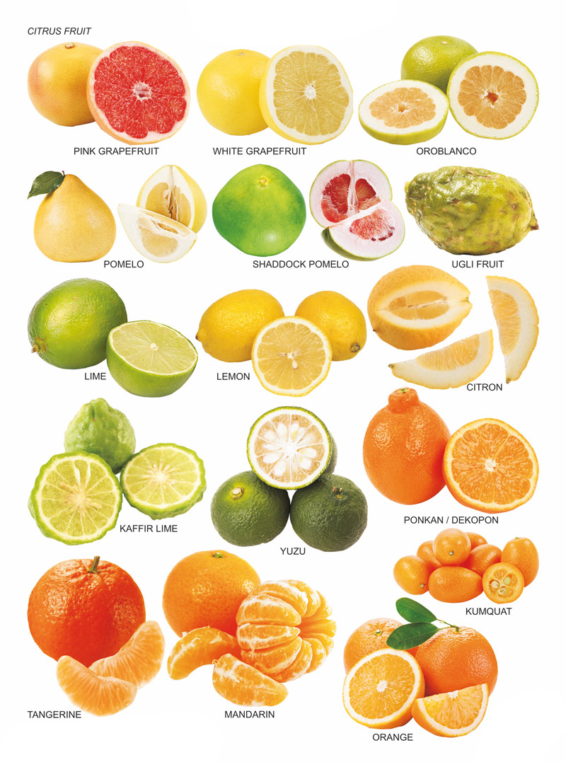 citrus-fruit-chart