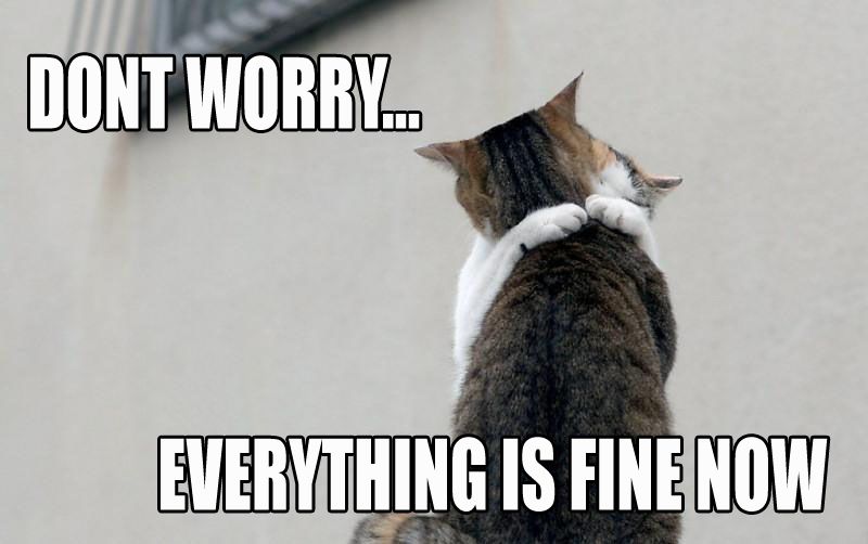 worry-cats